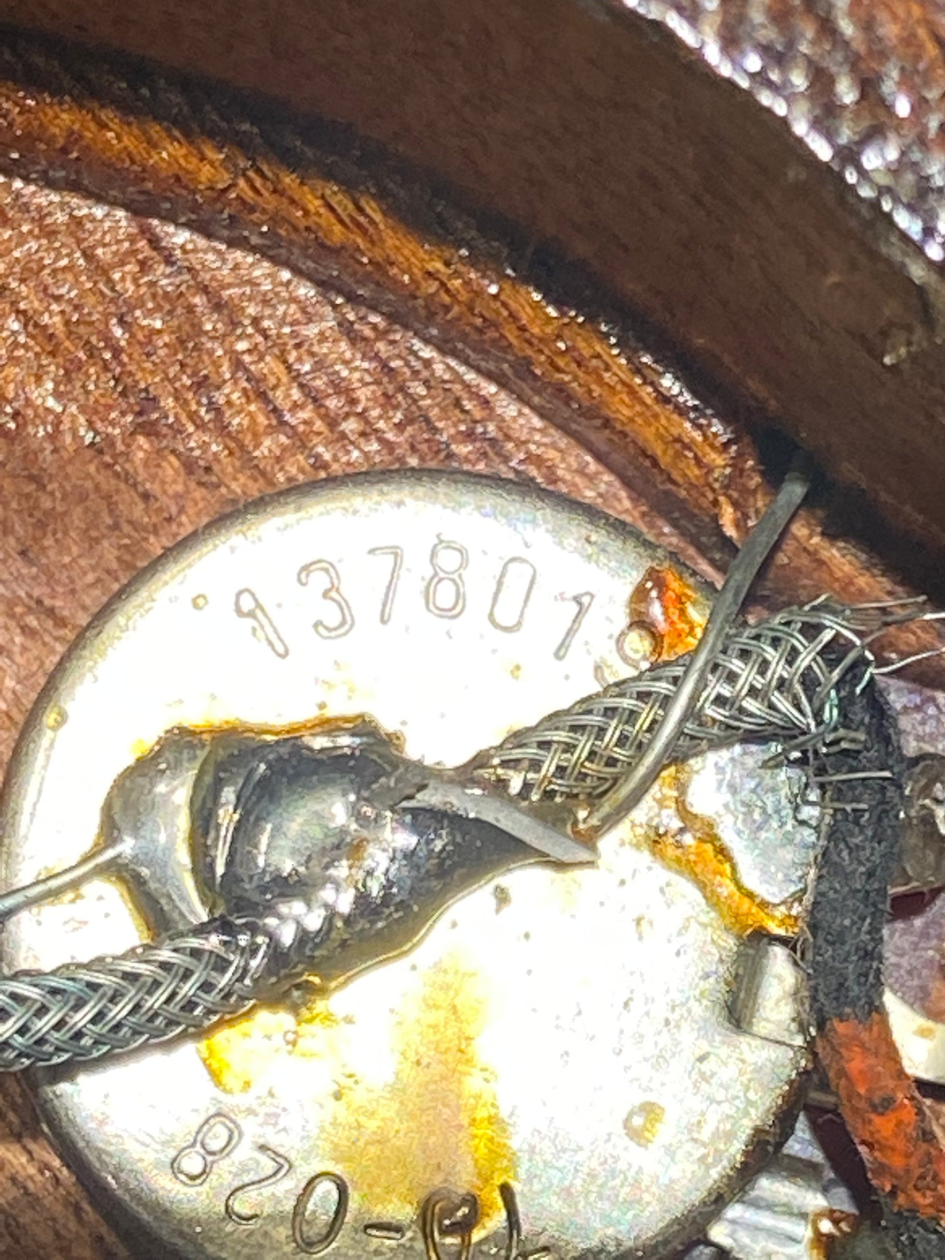 Gibson Firebrand "The Paul" Walnut 1981 Electric Guitars / Solid Body