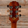 Gibson Les Paul Standard Plus Top Pro Desert Burst 2015 Electric Guitars / Solid Body