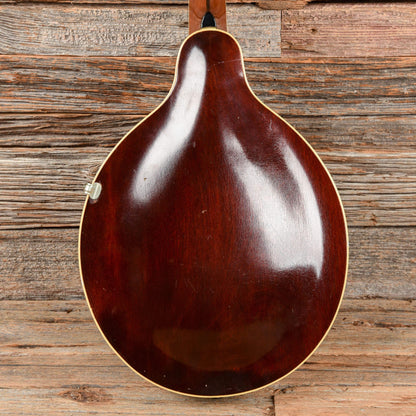 Gibson A-4 Mandolin Black 1913 Folk Instruments / Mandolins