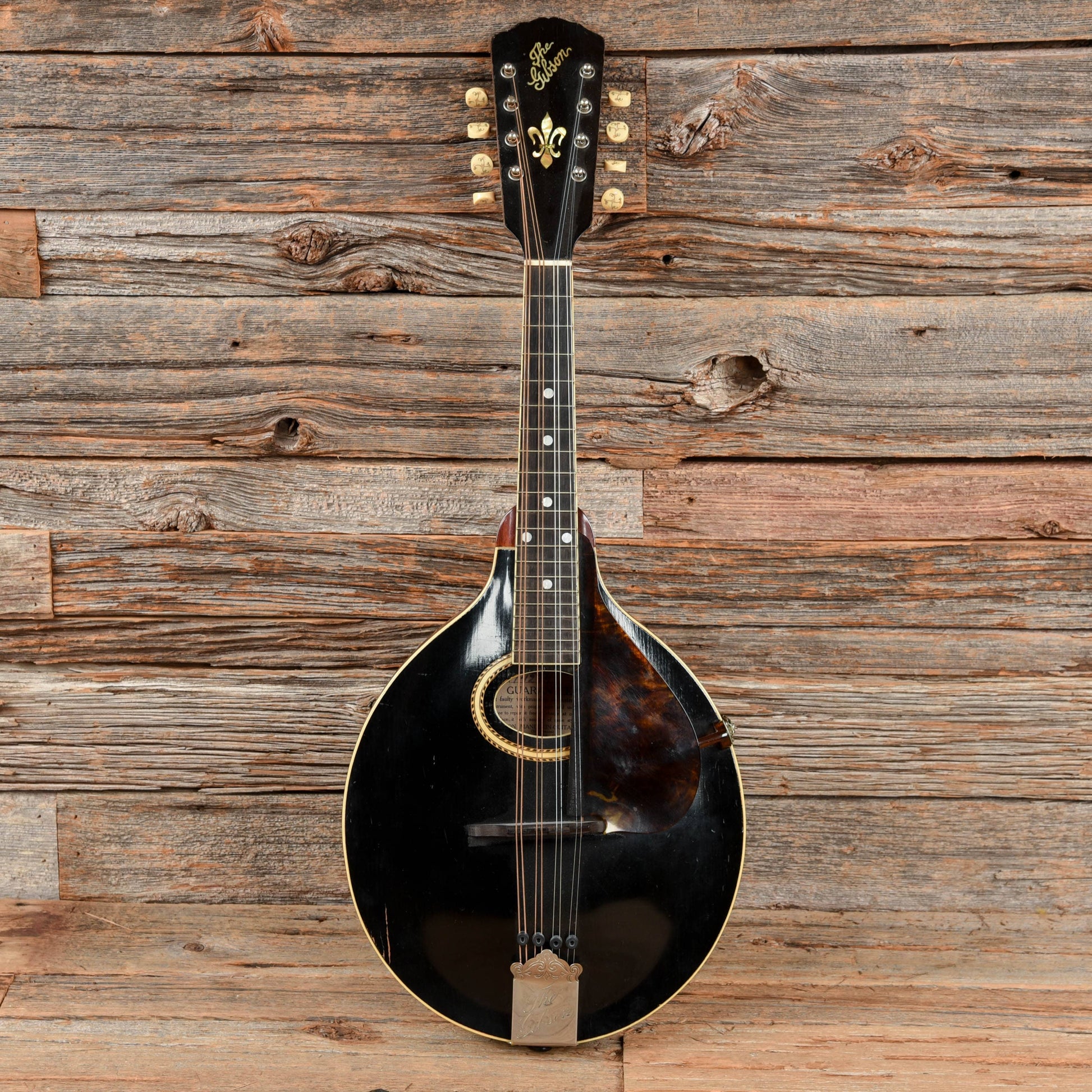 Gibson A-4 Mandolin Black 1913 Folk Instruments / Mandolins