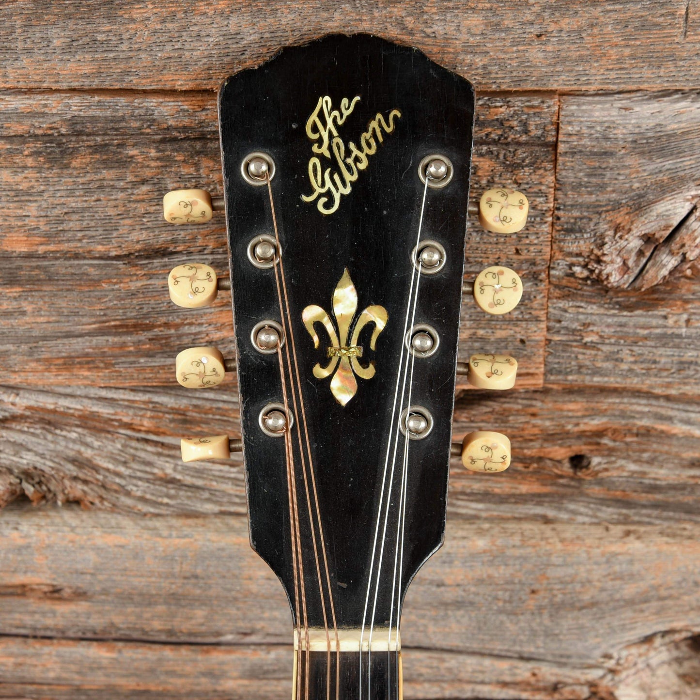 Gibson A-4 Mandolin Black 1913 Folk Instruments / Mandolins