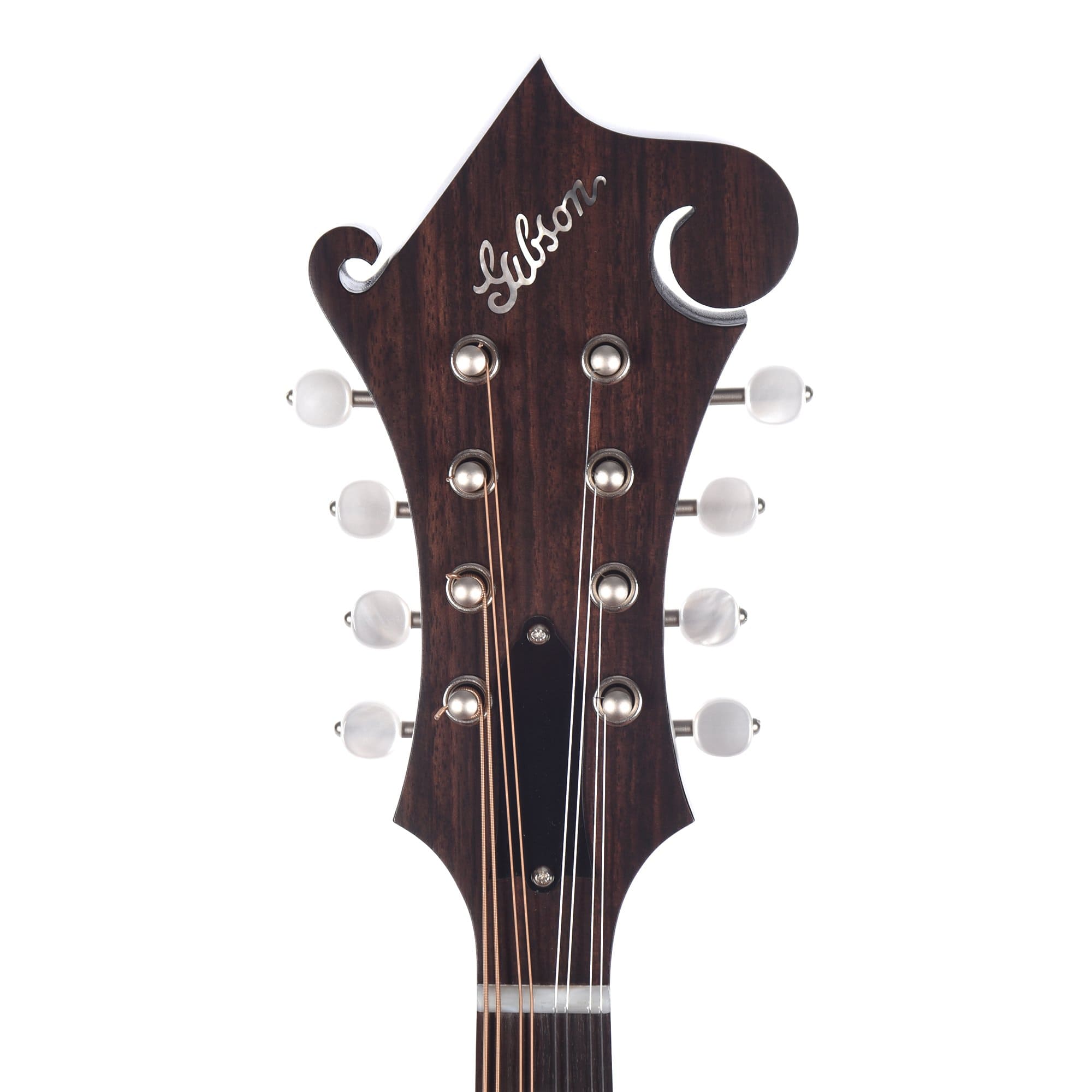 Gibson Custom F-9 Mandolin Satin Vintage Brown Folk Instruments / Mandolins