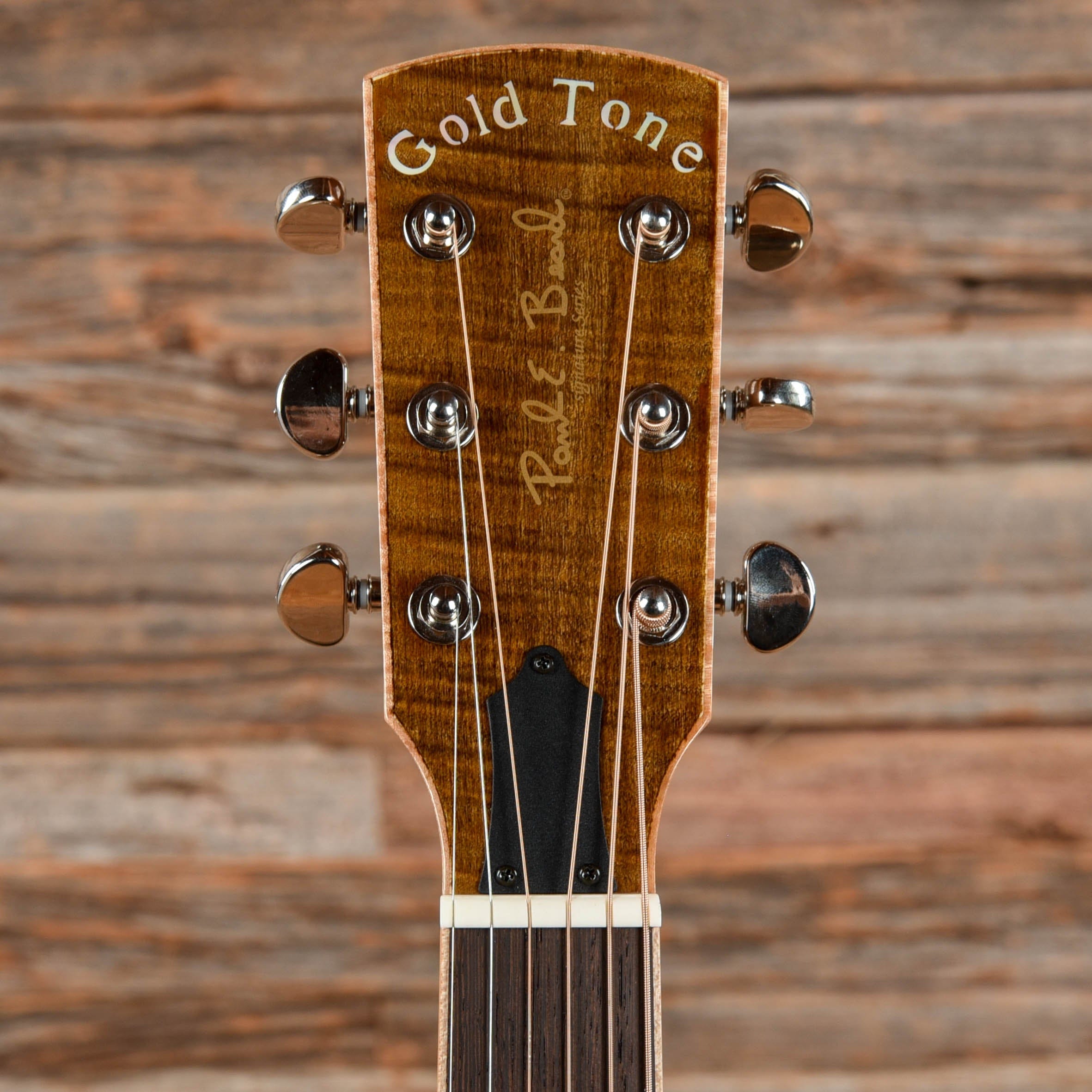 Gold Tone GRE Paul Beard Metal Body Thinline Resonator w/ Electronics Satin Black  LEFTY Acoustic Guitars / Resonator