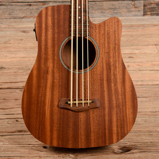 Gold Tone M-Bass25 Micro 25