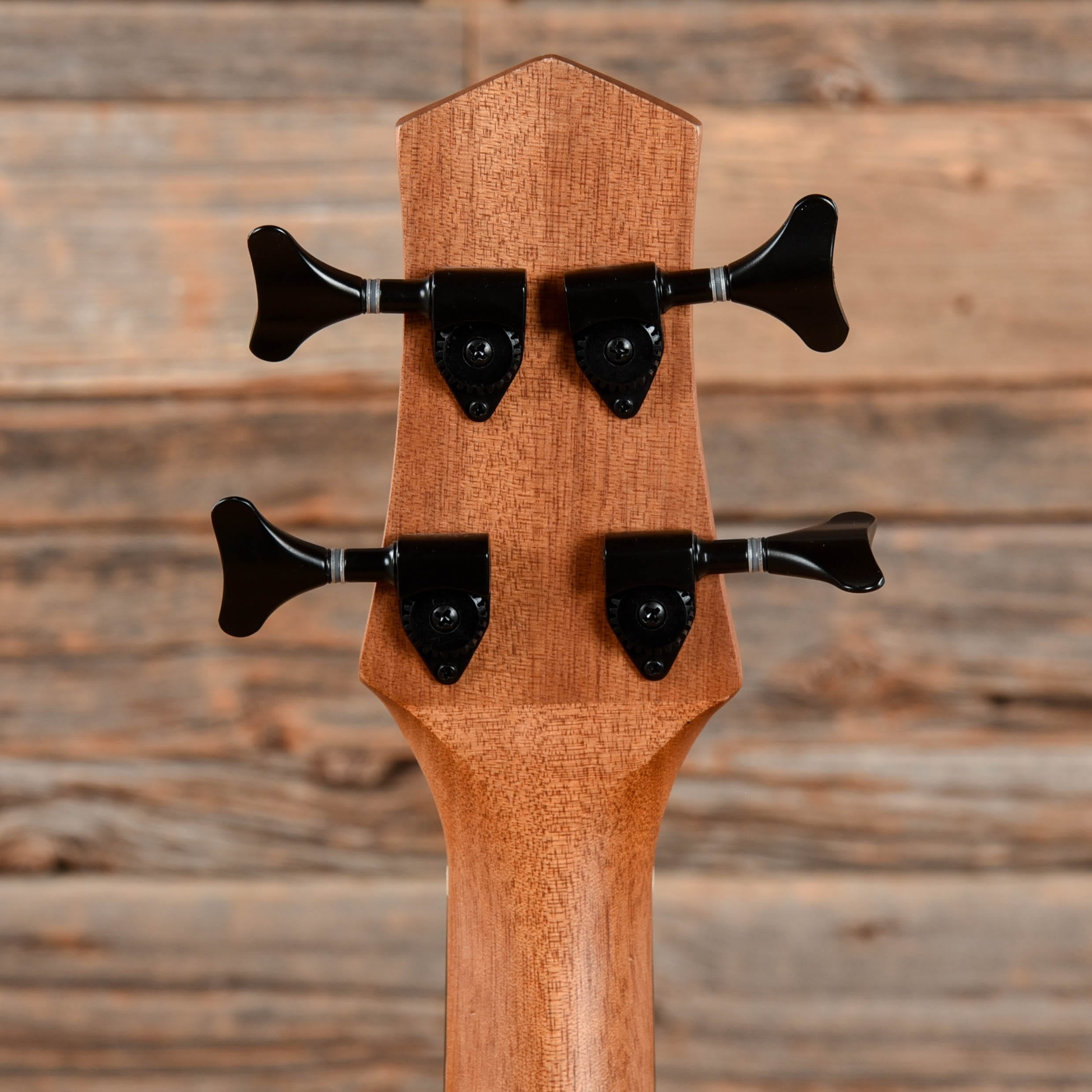 Gold Tone M-Bass25 Micro 25