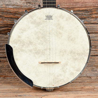 Gretsch G9450 Dixie Banjo Natural Folk Instruments / Banjos