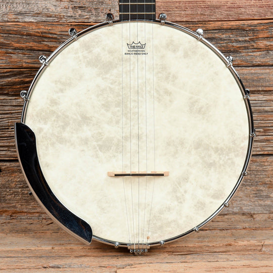 Gretsch G9450 Dixie Banjo Natural Folk Instruments / Banjos