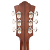 Guild Special Run D-40 Traditional Tear Drop Burst w/LR Baggs Pickup Acoustic Guitars / Dreadnought