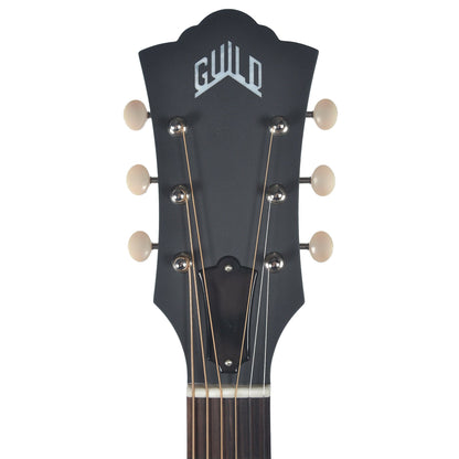 Guild USA D-40 Dreadnought Sitka Spruce/Mahogany Natural w/LR Baggs Pickup Acoustic Guitars / Dreadnought