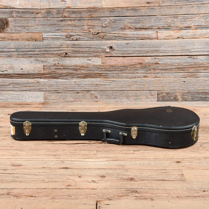 Guild Bluesbird Sunburst 1998 Electric Guitars / Solid Body