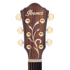 Ibanez AEG550 AEG Acoustic-Electric Spruce/Bocote Black Acoustic Guitars / Built-in Electronics