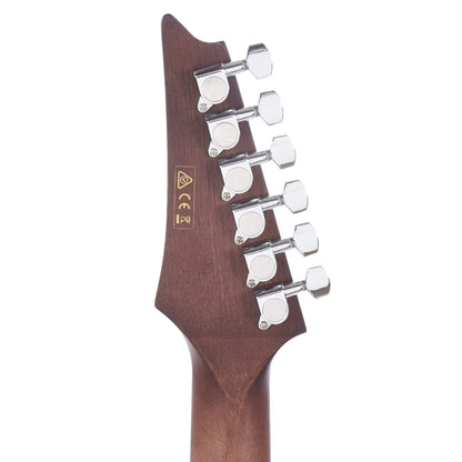 Ibanez ALT20 Acoustic Open Pore Natural Acoustic Guitars / Dreadnought