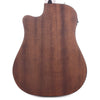 Ibanez ALT20 Acoustic Open Pore Natural Acoustic Guitars / Dreadnought