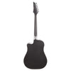 Ibanez ALT20 Acoustic Weathered Black Acoustic Guitars / Dreadnought