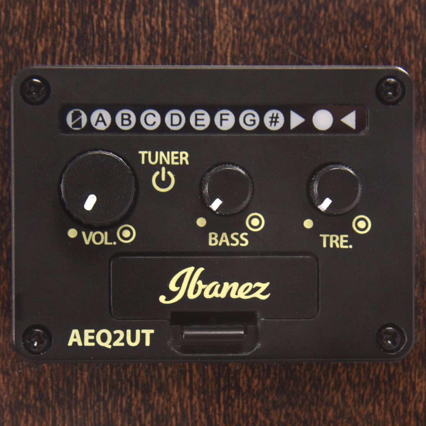 Ibanez ALT30FM Acoustic Blue Doom Burst High Gloss Acoustic Guitars / Dreadnought