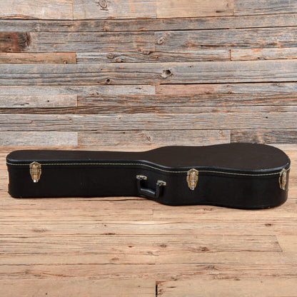 Ibanez AW20-HS-1X-02 Sunburst Acoustic Guitars / Dreadnought