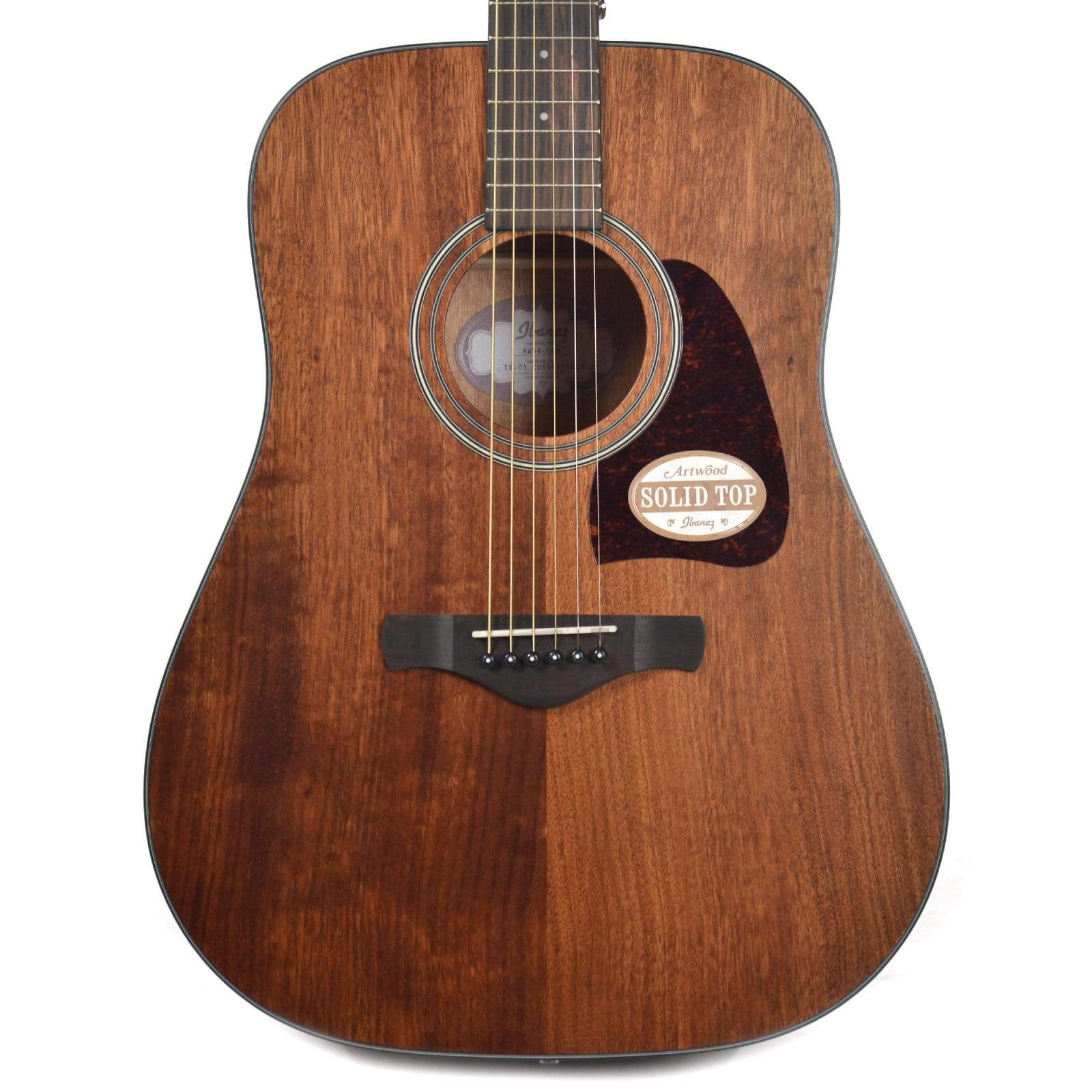 Ibanez AW54OPN Acoustic Guitar PAK Open Pore Natural Acoustic Guitars / Dreadnought