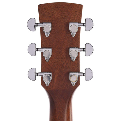 Ibanez PF17 LG Performance Series Cedar/Mahogany Acoustic Acoustic Guitars / Dreadnought