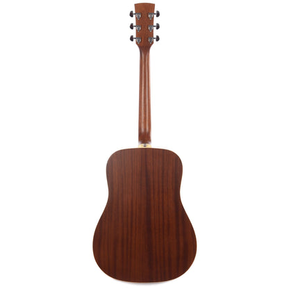 Ibanez PF17 LG Performance Series Cedar/Mahogany Acoustic Acoustic Guitars / Dreadnought