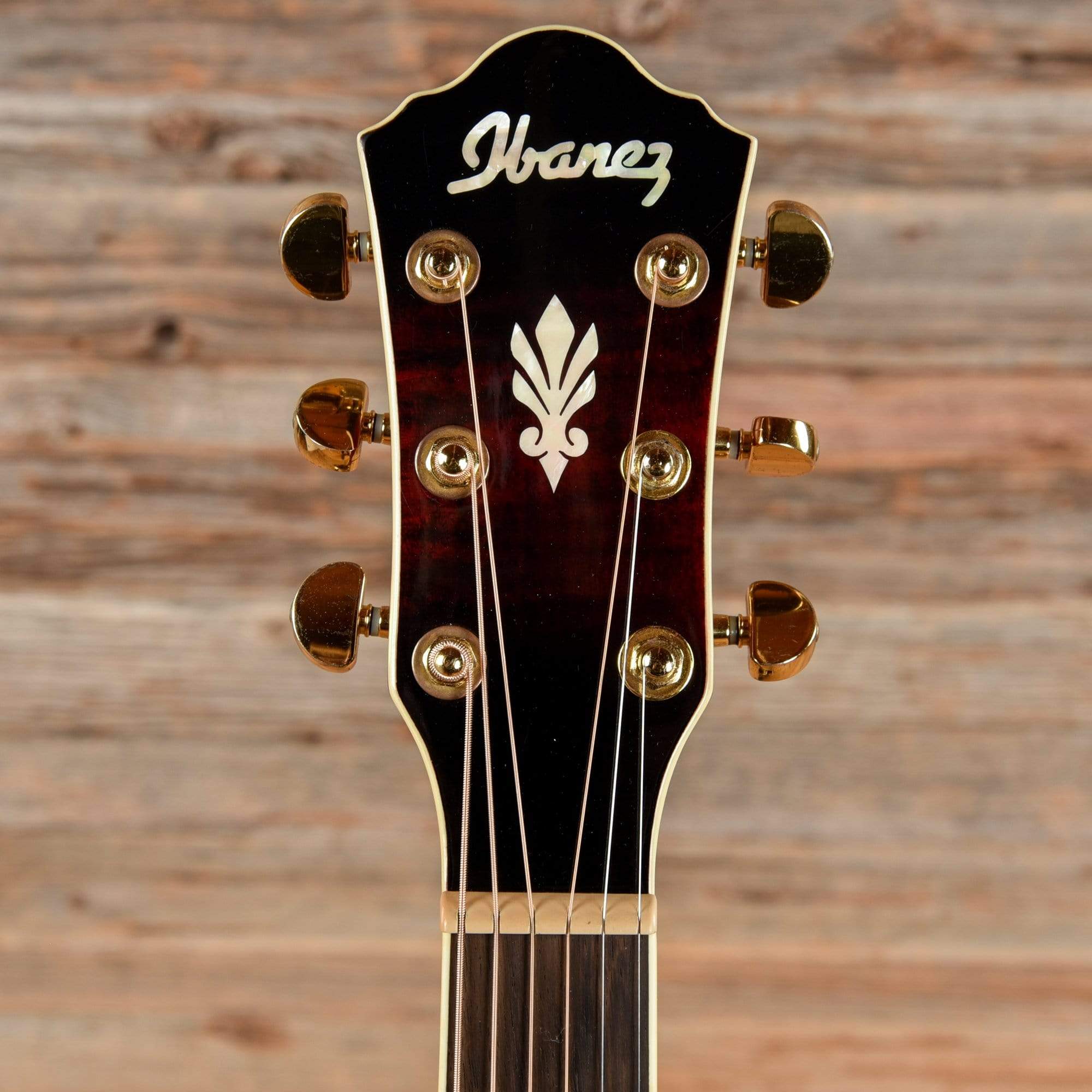 Ibanez AEG20II Transparent Red Sunburst 2013 Acoustic Guitars / OM and Auditorium