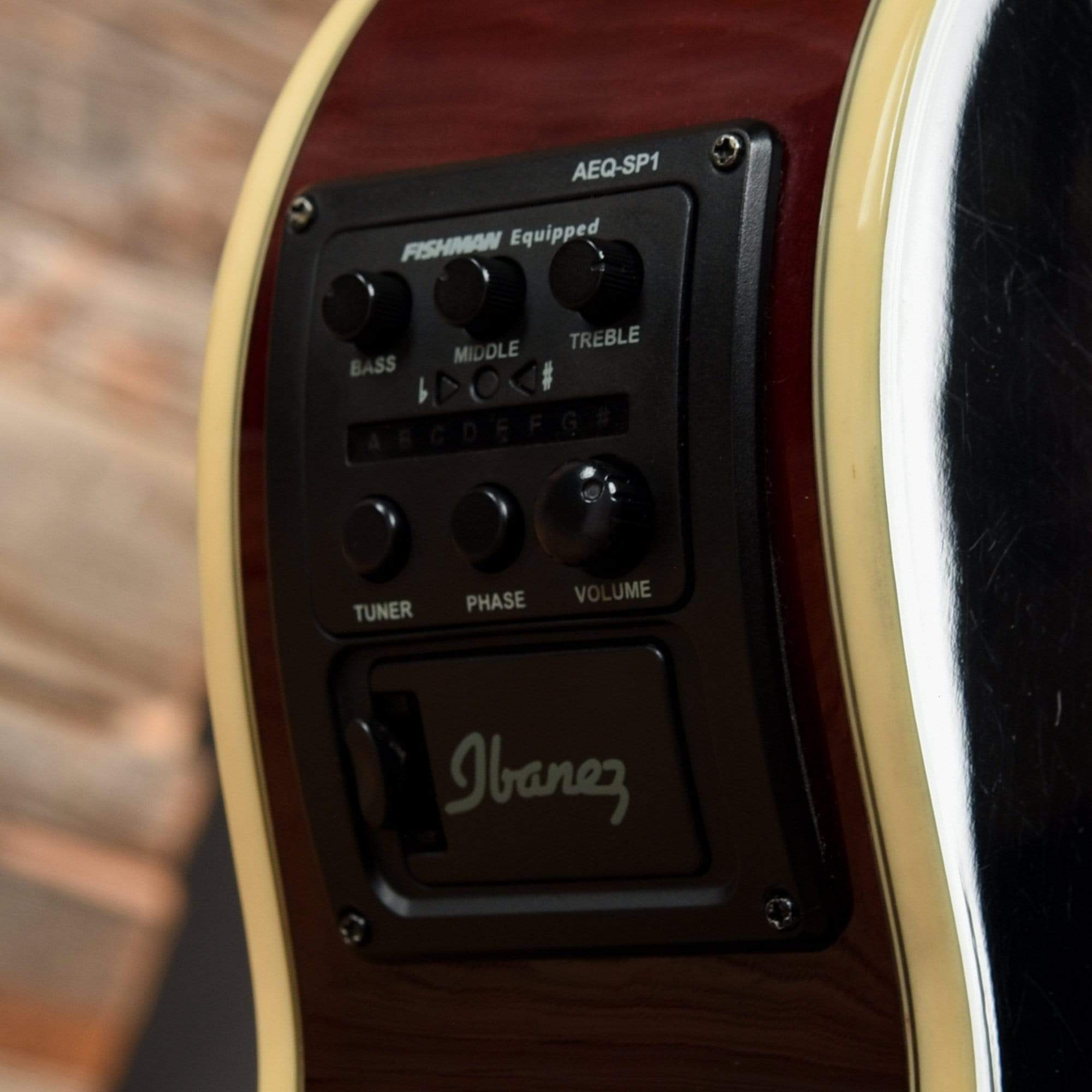 Ibanez AEG20II Transparent Red Sunburst 2013 Acoustic Guitars / OM and Auditorium