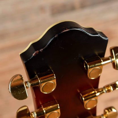 Ibanez AEG20II Transparent Red Sunburst 2013 Acoustic Guitars / OM and Auditorium