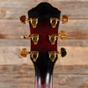 Ibanez AEG20II Transparent Red Sunburst 2013 Acoustic Guitars / OM and Auditorium