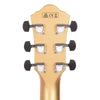 Ibanez AEWC10 Acoustic Dark Gold High Gloss Acoustic Guitars / OM and Auditorium