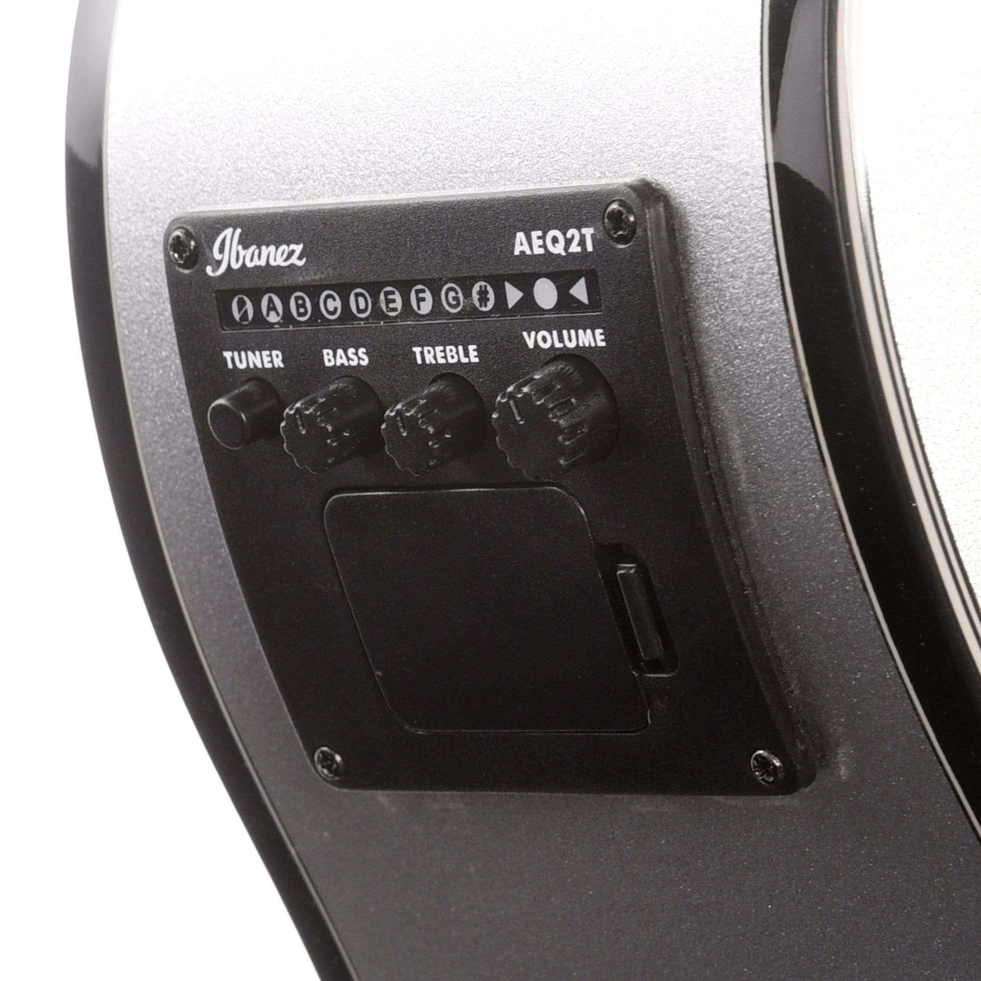 Ibanez AEWC10 Acoustic Silver High Gloss Acoustic Guitars / OM and Auditorium