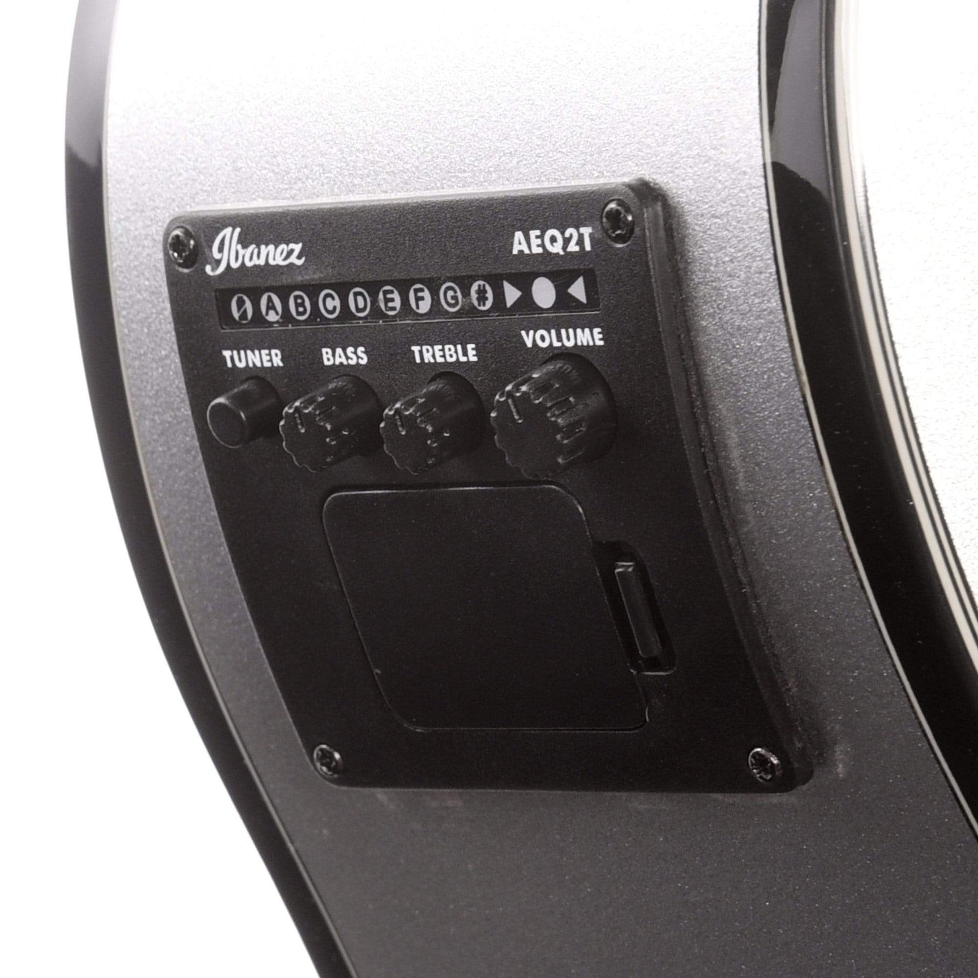 Ibanez AEWC10 Acoustic Silver High Gloss Acoustic Guitars / OM and Auditorium