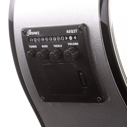 Ibanez AEWC10 Acoustic Silver High Gloss Acoustic Guitars / OM and Auditorium