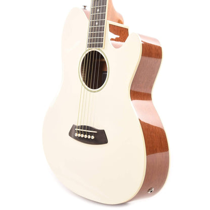 Ibanez TCY10E Talman Acoustic Ivory Acoustic Guitars / OM and Auditorium