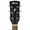 Ibanez PN1MH Natural High Gloss Acoustic Guitars / Parlor
