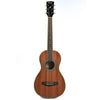 Ibanez PN1MH Natural High Gloss Acoustic Guitars / Parlor