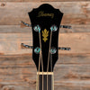Ibanez AEB5E Black Bass Guitars / 4-String