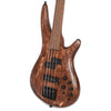 Ibanez SR650E SR Standard Bass Antique Brown Stained Bass Guitars / 4-String