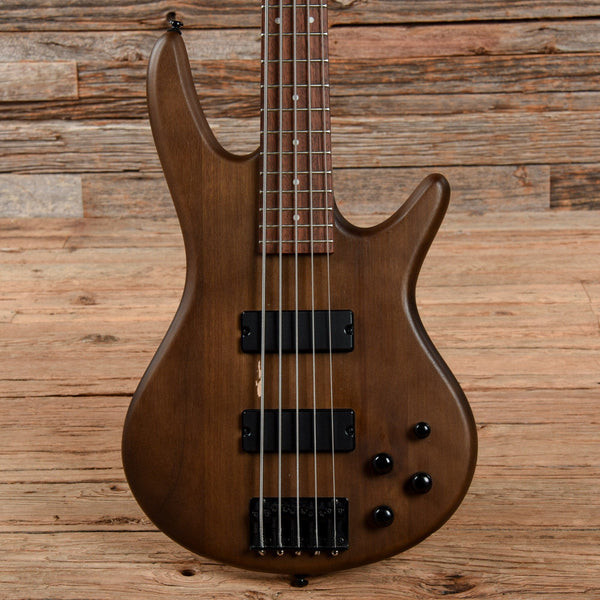ibanez-bass-guitars-5-string-