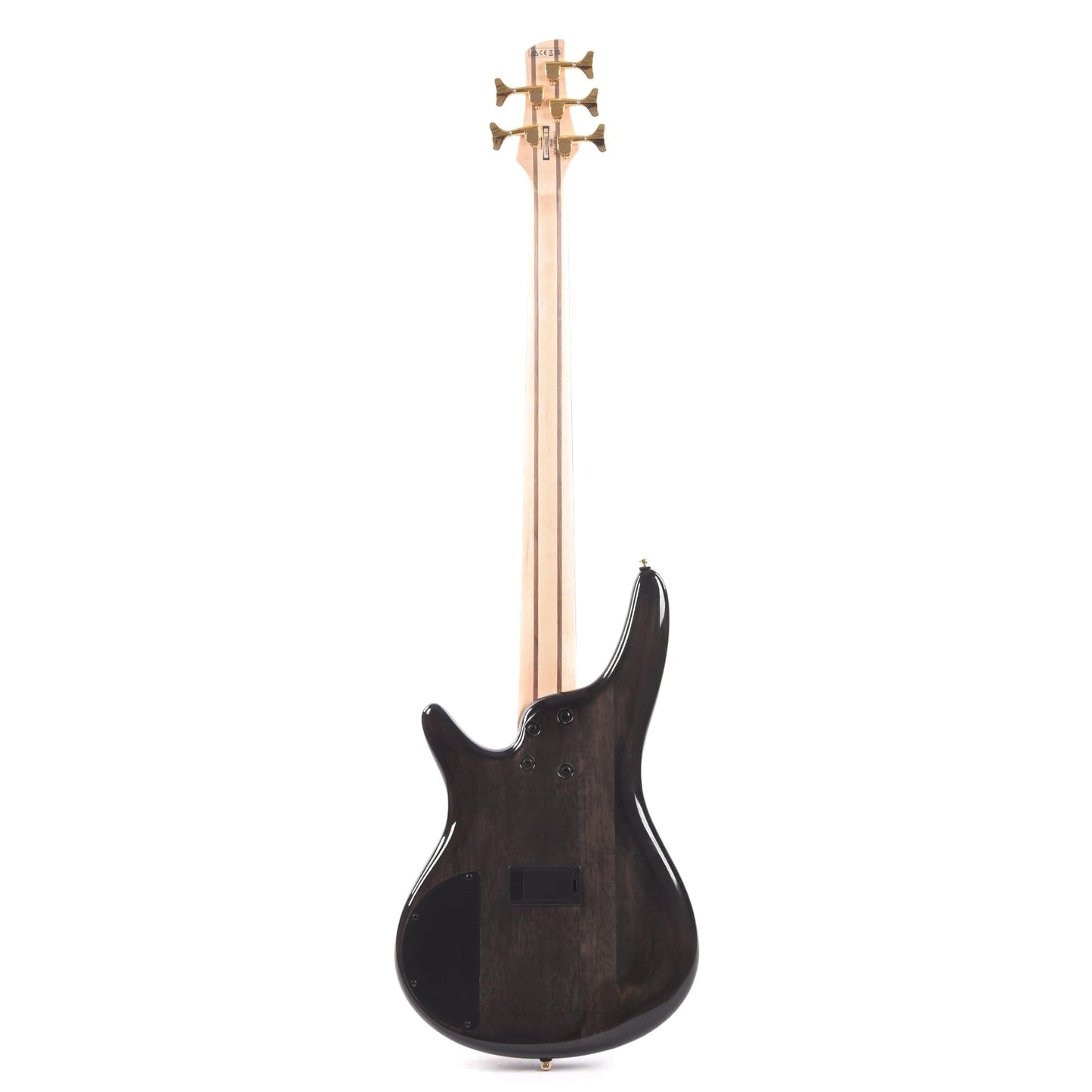 Ibanez SR405EPBDX Standard 5-String Bass Tropical Seafloor Burst Bass Guitars / 5-String or More