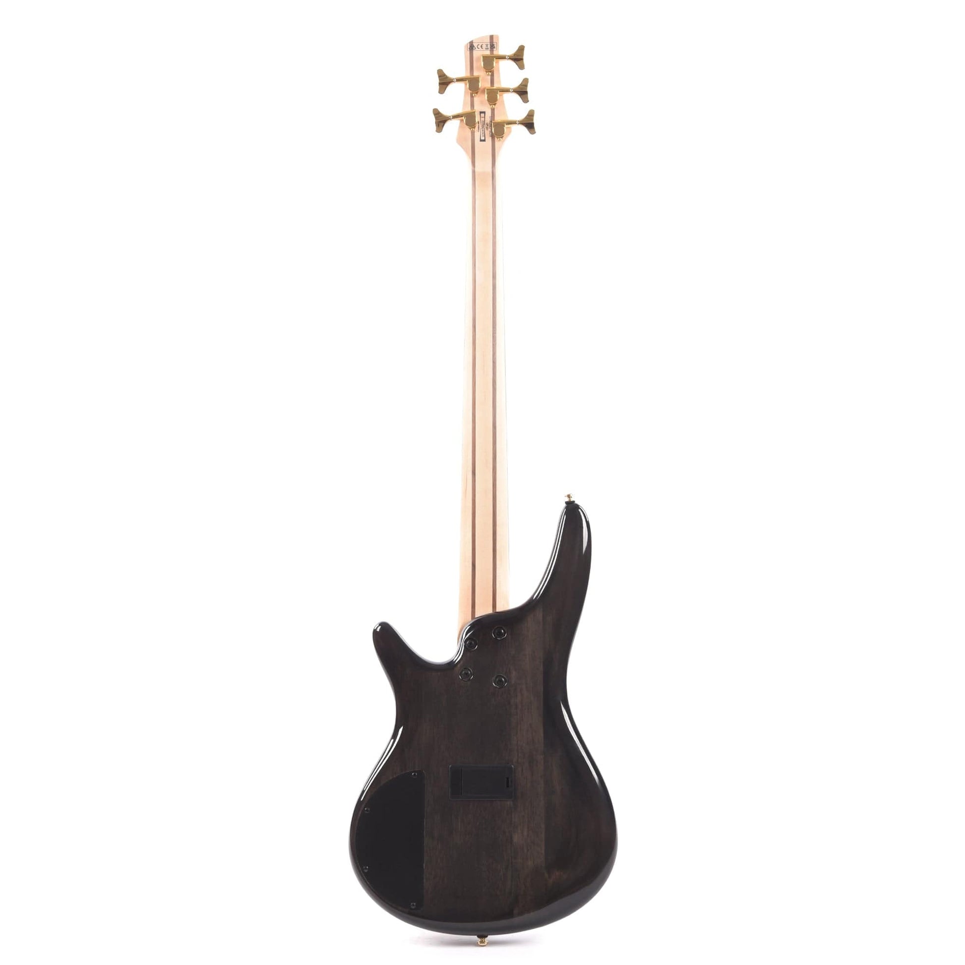 Ibanez SR405EPBDX Standard 5-String Bass Tropical Seafloor Burst Bass Guitars / 5-String or More