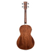 Ibanez AVNB2E Parlor Acoustic Bass Natural Gloss Bass Guitars / Acoustic Bass Guitars
