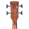 Ibanez PNB14E Parlor Acoustic Bass Open Pore Natural Bass Guitars / Acoustic Bass Guitars