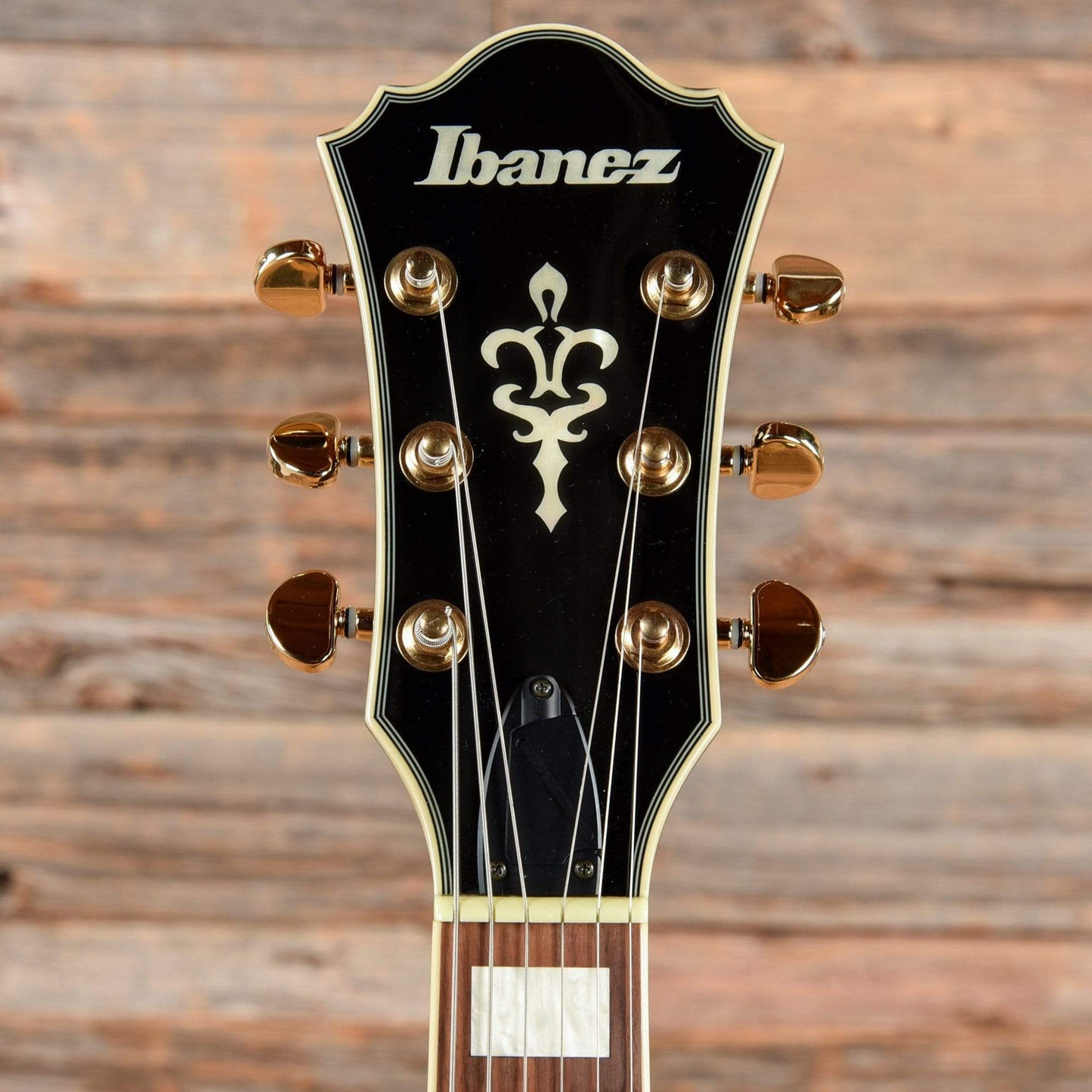 Ibanez AFJ95 Electric Guitars / Hollow Body