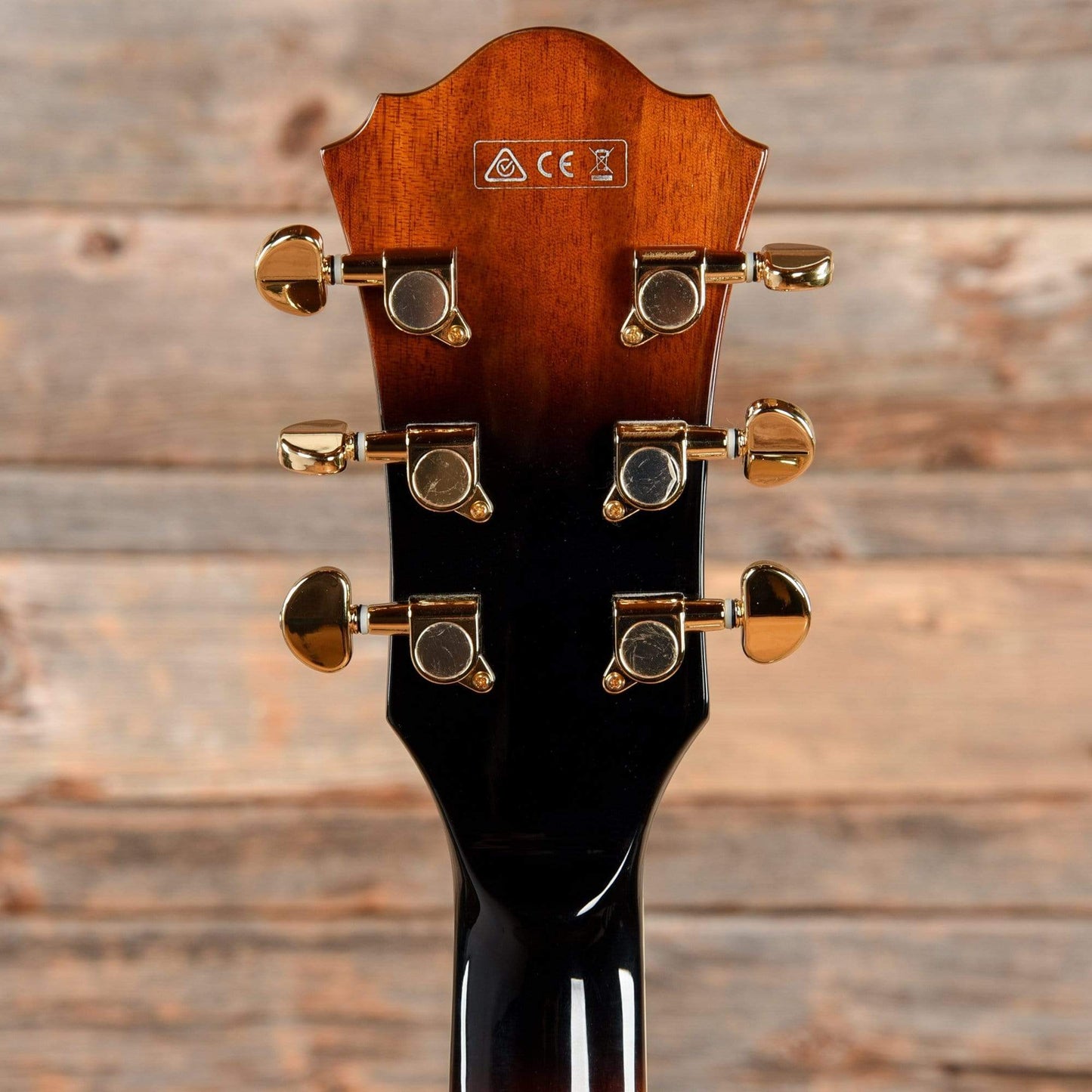 Ibanez AFJ95 Electric Guitars / Hollow Body