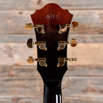 Ibanez AG95-DBS Artcore Expressionist Series Bubinga Hollowbody Dark Brown Sunburst 2013 Electric Guitars / Hollow Body