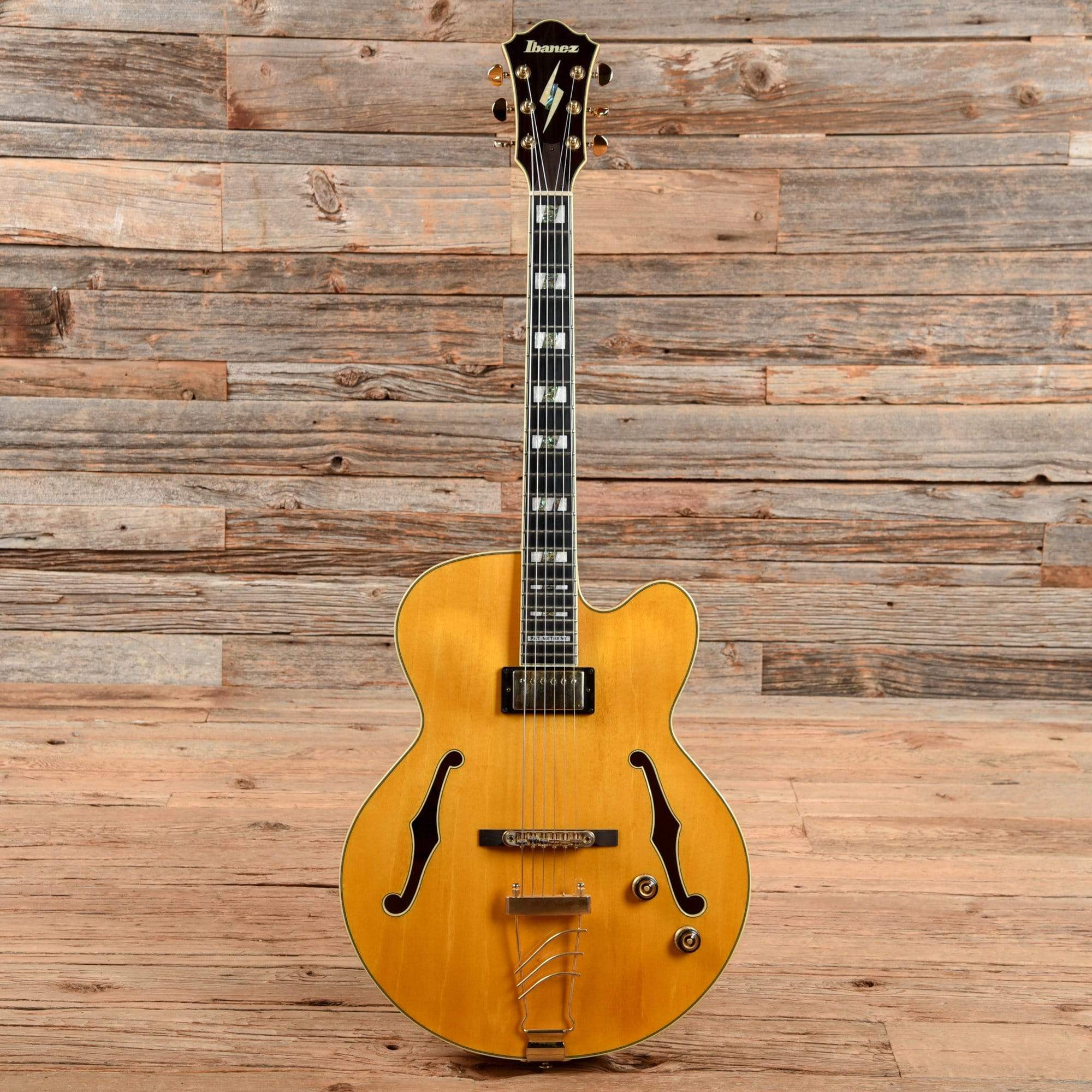 Ibanez Pat Metheny PM2C-VNT Natural Electric Guitars / Hollow Body