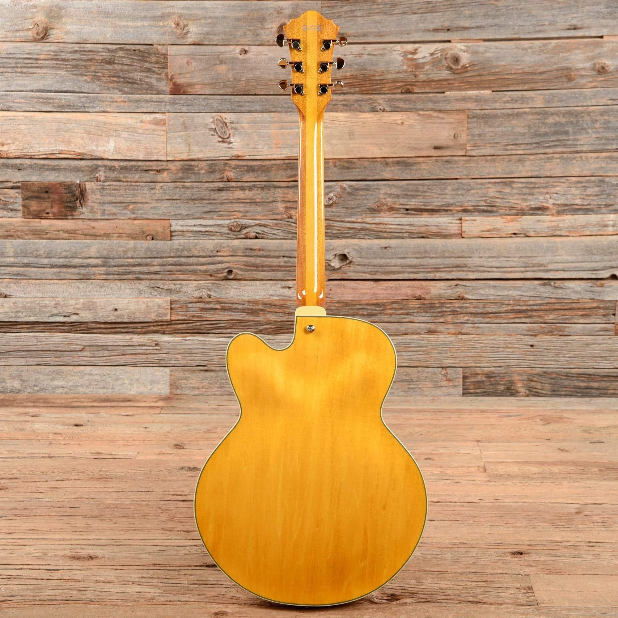 Ibanez Pat Metheny PM2C-VNT Natural Electric Guitars / Hollow Body