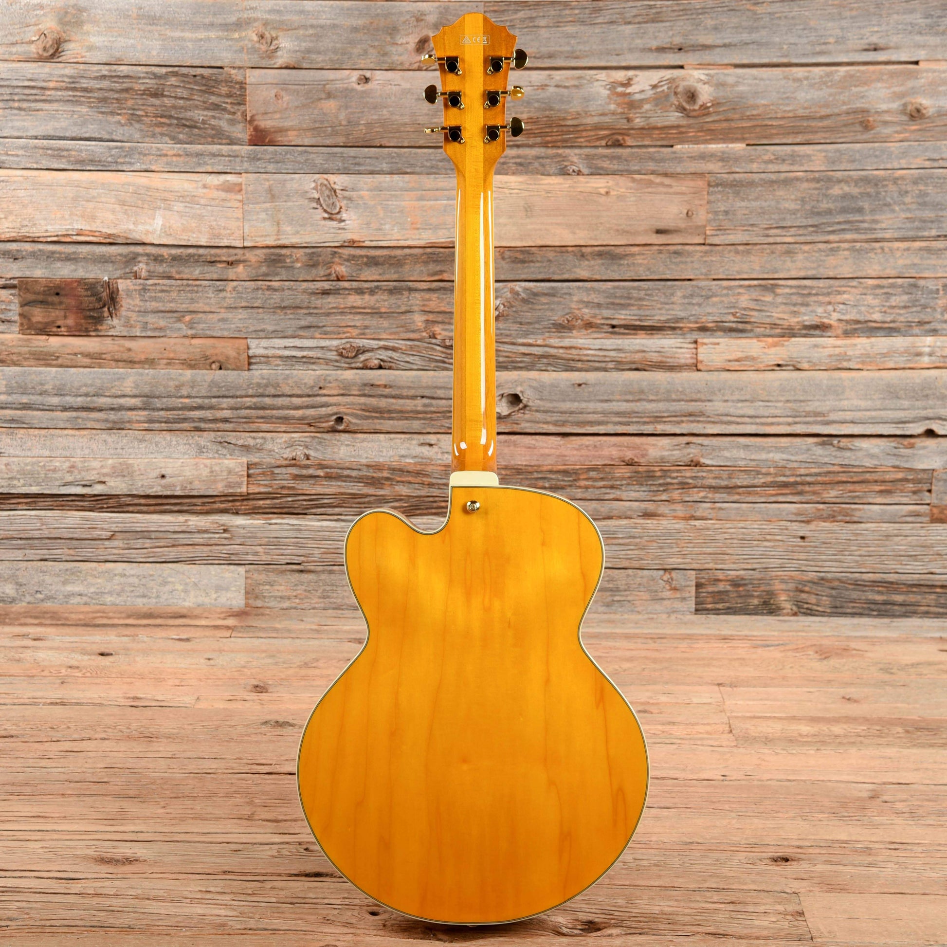 Ibanez PM2-AA Pat Metheny Signature Hollowbody Antique Amber 2019 Electric Guitars / Hollow Body