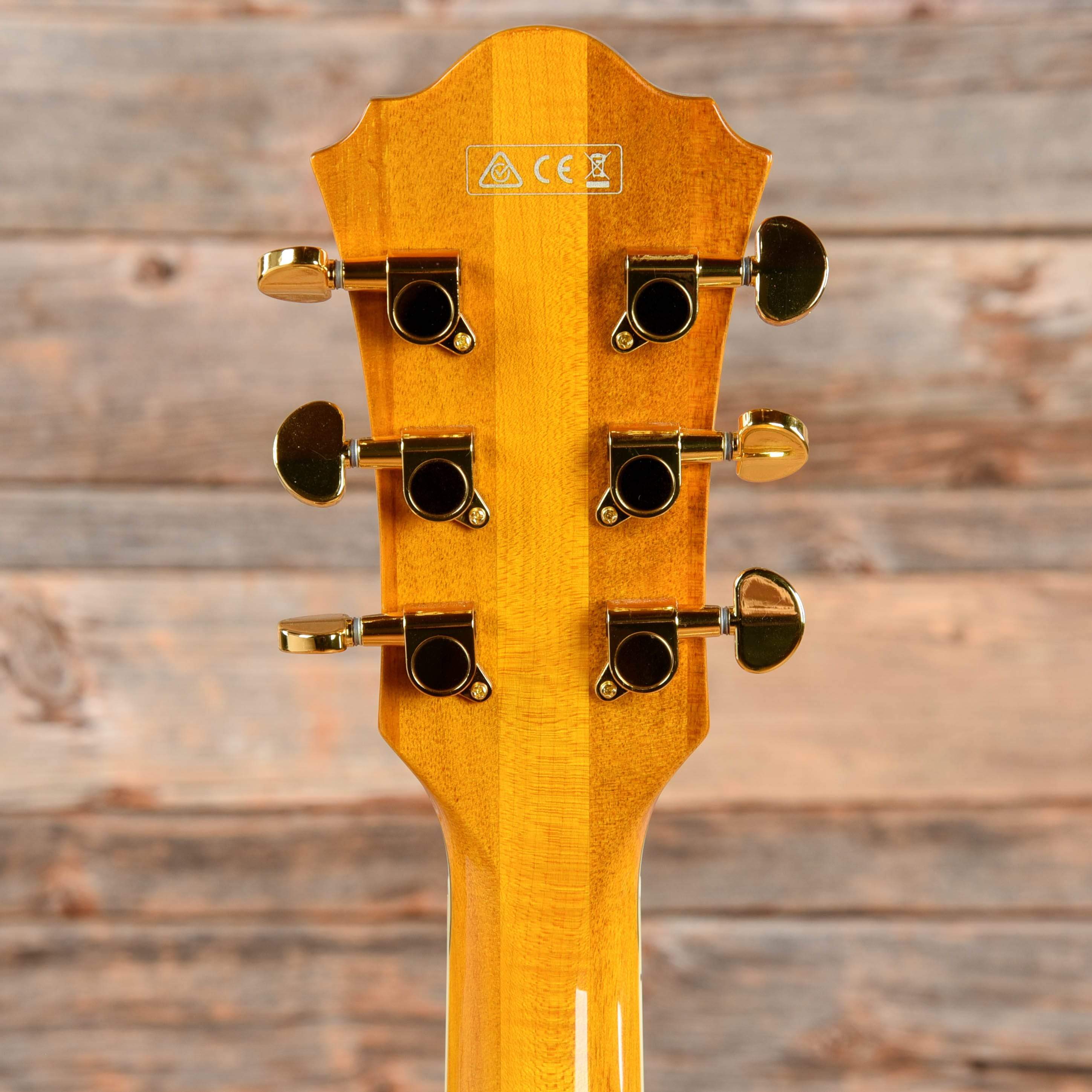 Ibanez PM2-AA Pat Metheny Signature Hollowbody Antique Amber 2019 Electric Guitars / Hollow Body