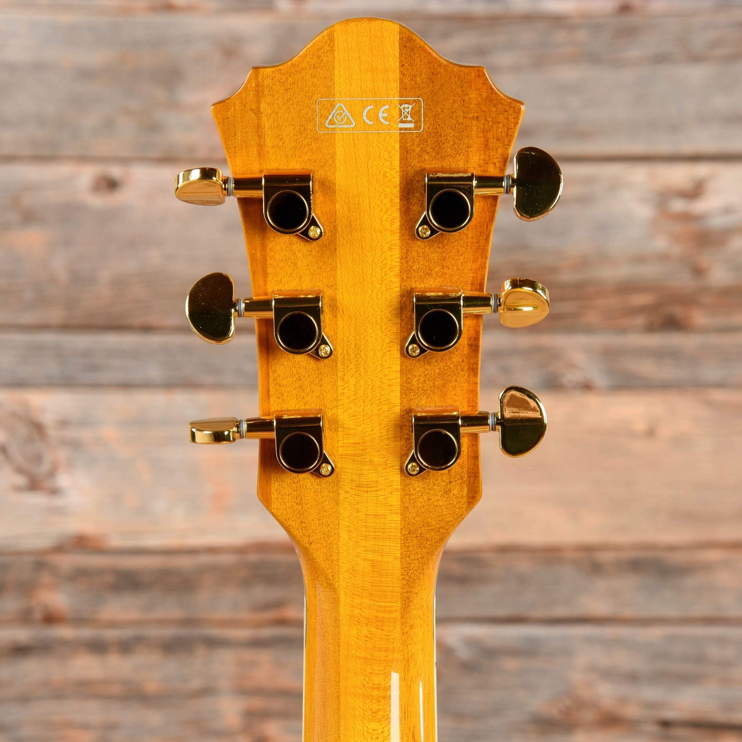 Ibanez PM2-AA Pat Metheny Signature Hollowbody Antique Amber 2019 Electric Guitars / Hollow Body