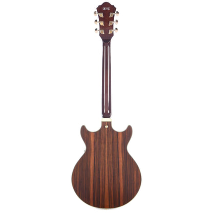 Ibanez AM93ME Artcore Expressionist Macassar Ebony Semi-Hollow Body Electric Guitars / Semi-Hollow